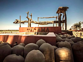 ピスコサワーのお酒