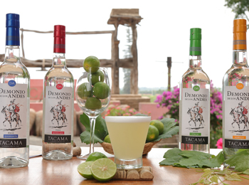 ピスコサワーのお酒