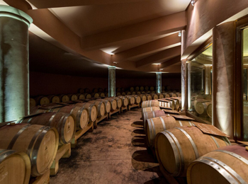 ピスコサワーのお酒